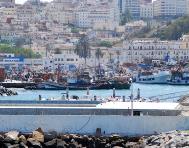 Ayvalık'ta Marka Tescili