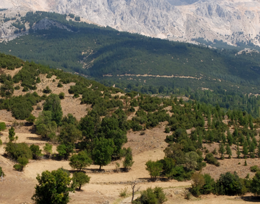 Atabey'de Marka Tescili