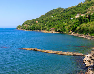 Altınordu'da Marka Tescili