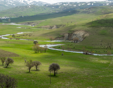 Varto'da Marka Tescili