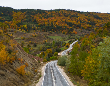 Zile'de Marka Tescili