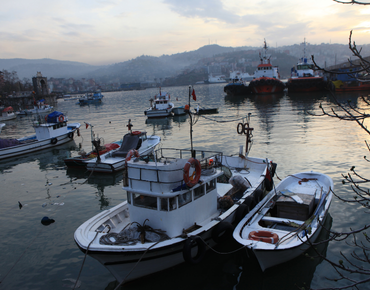 Karadeniz Ereğli'de Marka Tescili